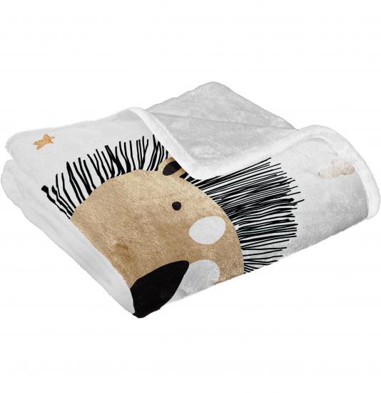 Pembe Fiyonklu Baskılı Welsoft Çocuk Battaniyesi